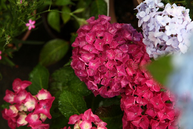 a0242438_834131.jpg