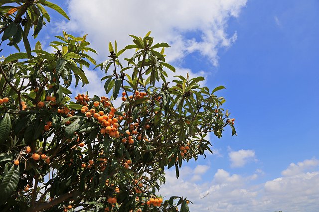 a0242438_9121419.jpg