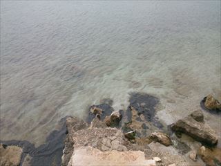 e0120938_1811866.jpg