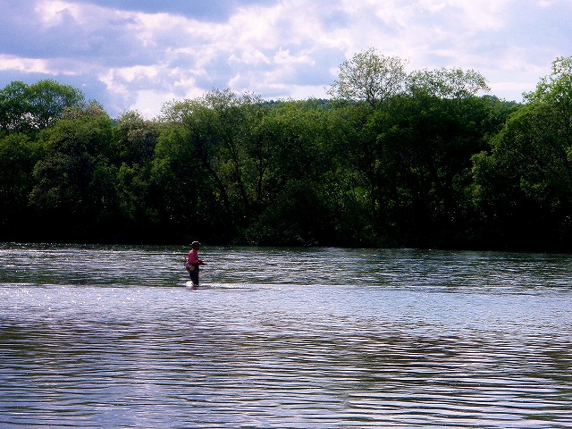 d0075843_1917760.jpg