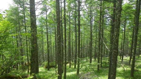 c0042847_15271134.jpg
