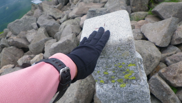 c0042847_153299.jpg