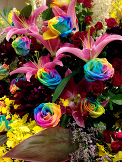 f0179947_2252031.jpg