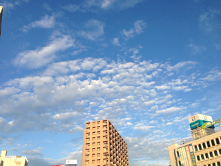 f0179947_2393626.jpg