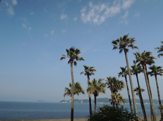b0173754_0273775.jpg