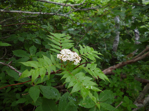 d0231858_7212936.jpg