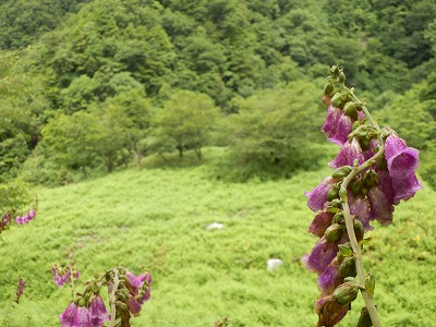 f0057070_026487.jpg