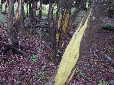 f0057070_0271997.jpg