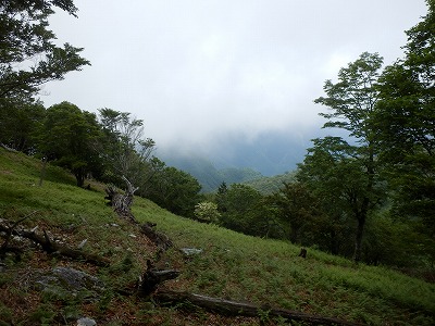 f0057070_0282486.jpg
