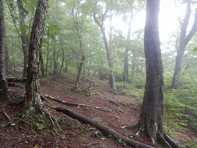 f0057070_028760.jpg