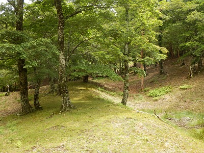 f0057070_0295439.jpg