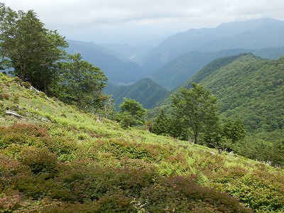 f0057070_029926.jpg