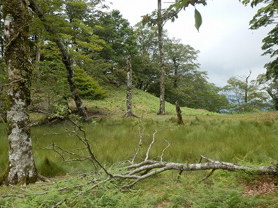 f0057070_0303399.jpg
