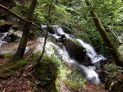 f0057070_030588.jpg