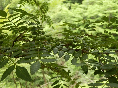 f0057070_0314270.jpg