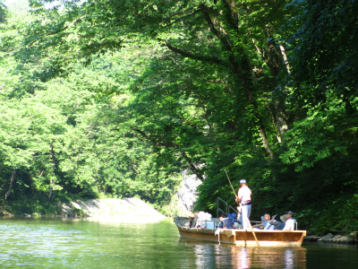 e0106372_1055121.jpg