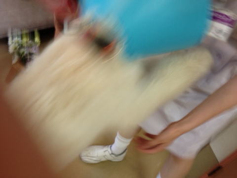 e0161972_1664450.jpg