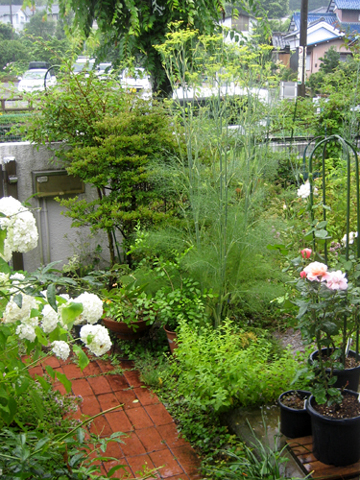 c0289473_1030894.jpg