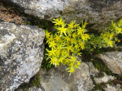 d0182075_558377.jpg