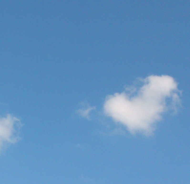 a0137279_18431491.jpg