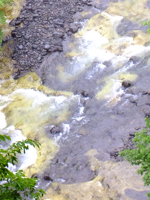 e0145782_1814236.jpg