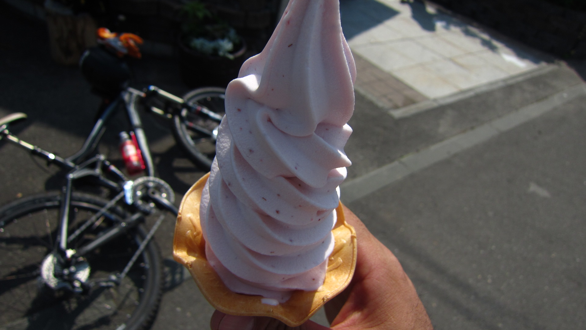 a0242984_1295586.jpg