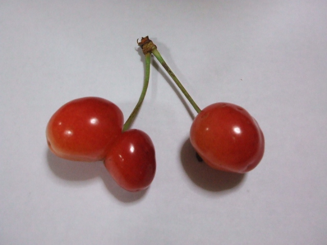 f0019498_21321941.jpg