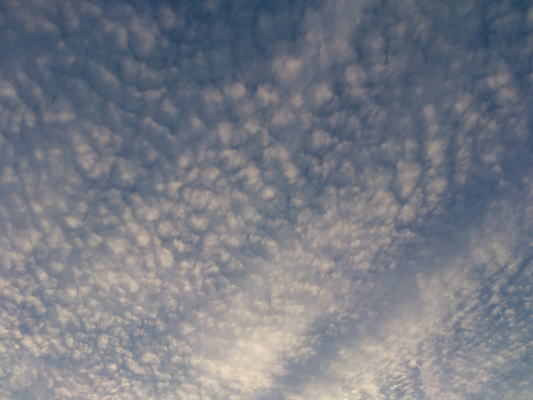 b0160300_23182950.jpg