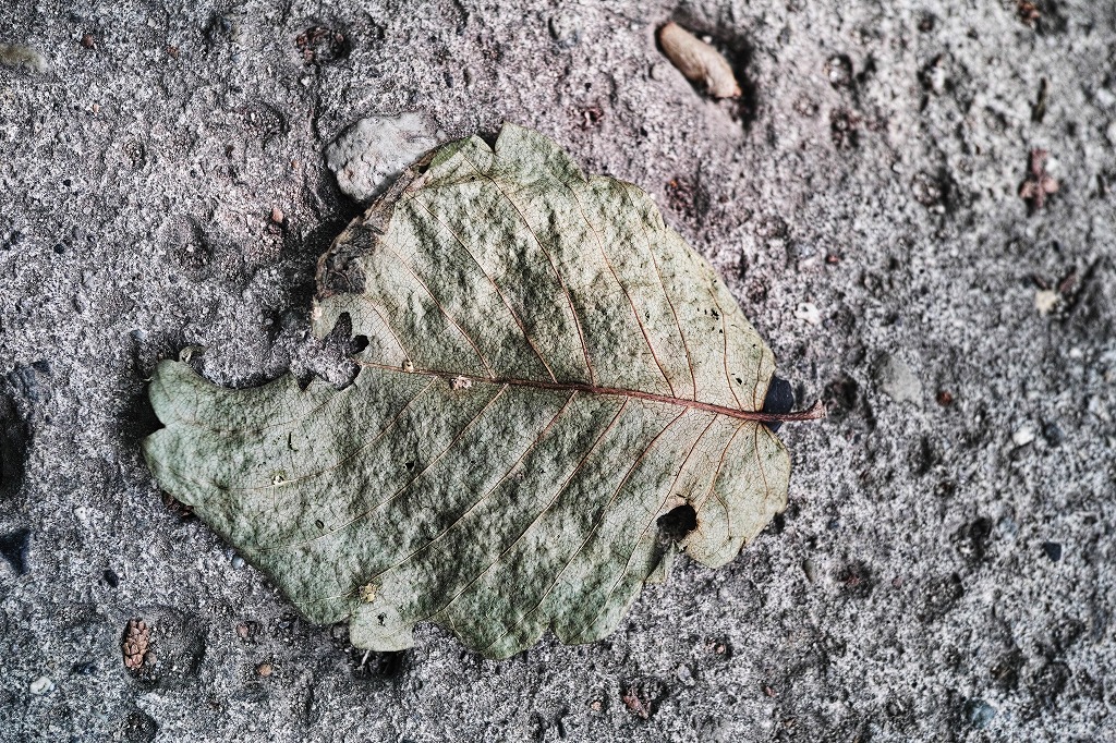 f0224100_7411263.jpg