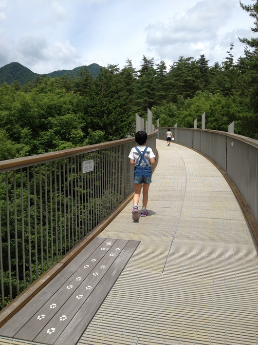 f0154002_181421100.jpg