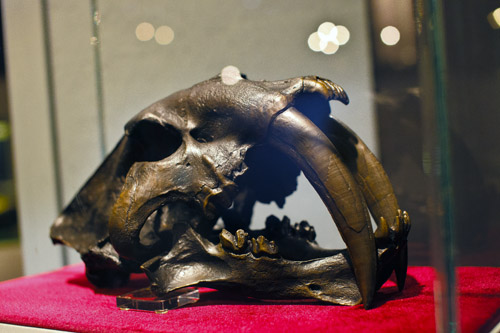 c0148812_741152.jpg