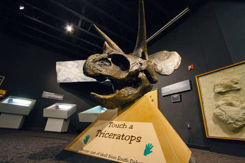 c0148812_7483849.jpg