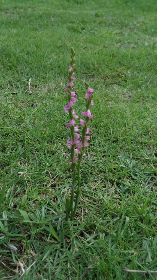 c0247314_1611814.jpg