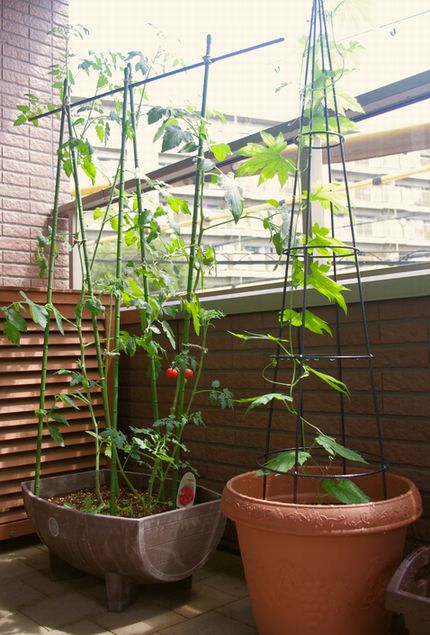 f0168317_211724.jpg