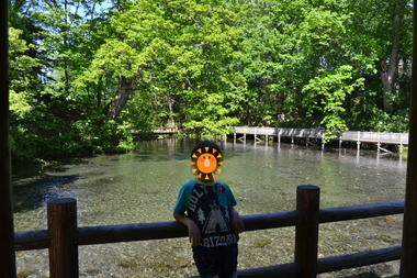 b0121019_15521631.png