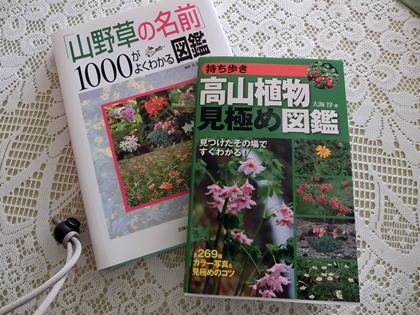 a0105023_16155420.jpg