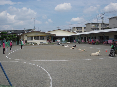 c0114833_16334721.jpg