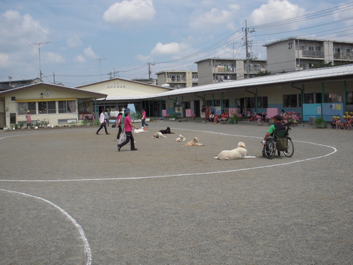 c0114833_1634443.jpg