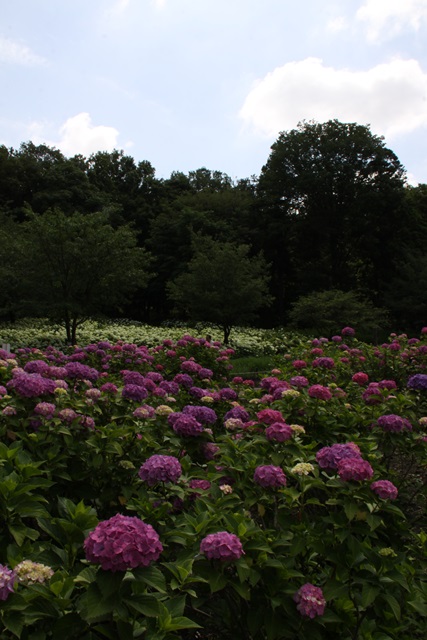 f0217933_17512722.jpg
