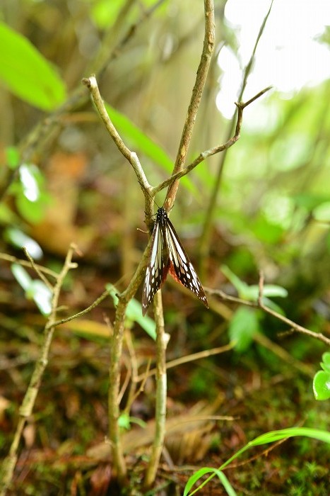 b0236334_20254996.jpg
