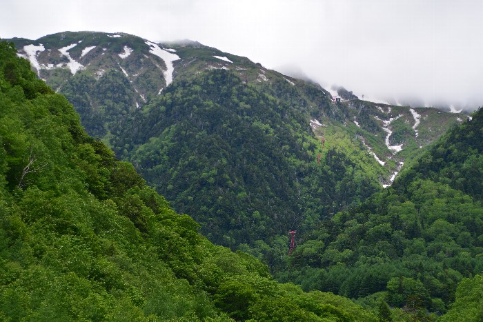 b0236334_20263048.jpg