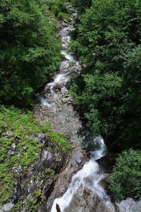 b0236334_2026670.jpg