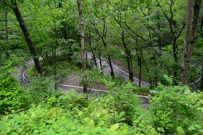 b0236334_20294223.jpg