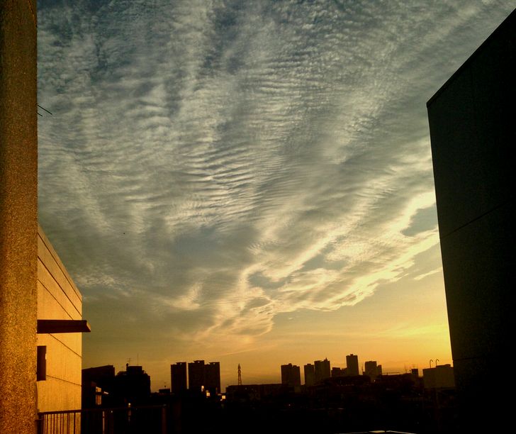 e0149934_21214815.jpg