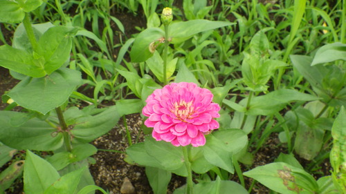 c0300035_14482127.jpg