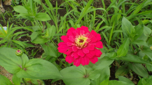 c0300035_14483787.jpg