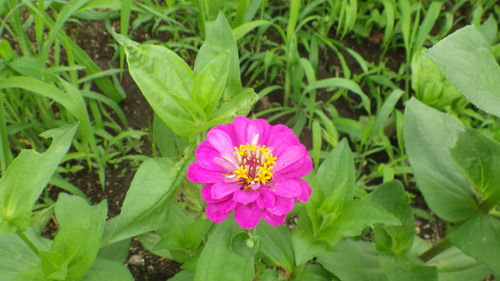 c0300035_1449470.jpg