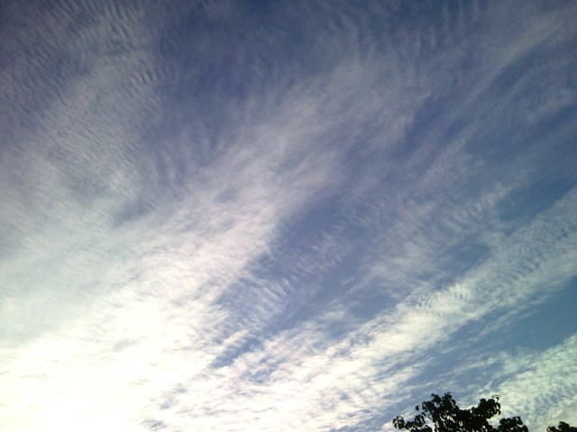 e0150843_18475580.jpg