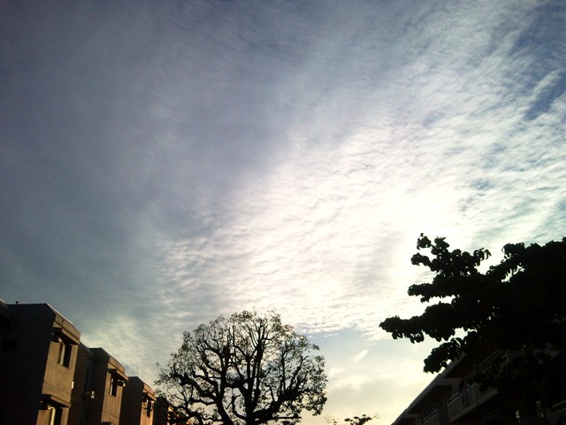 e0150843_18485153.jpg