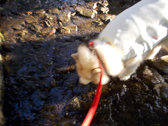e0121548_2013027.jpg